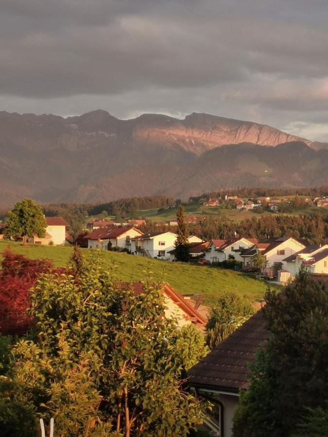 Apart Hotel Near Lucerne Ruswil Екстериор снимка